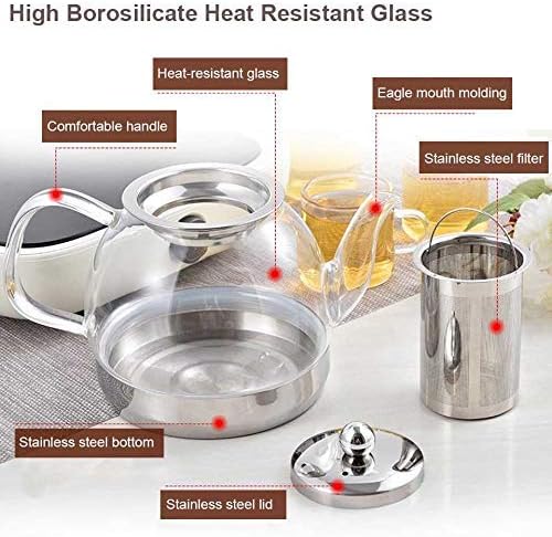 Tea Pot - Fancy Tea Pot with filter and Heat Resistant -  Transparent - 800ml