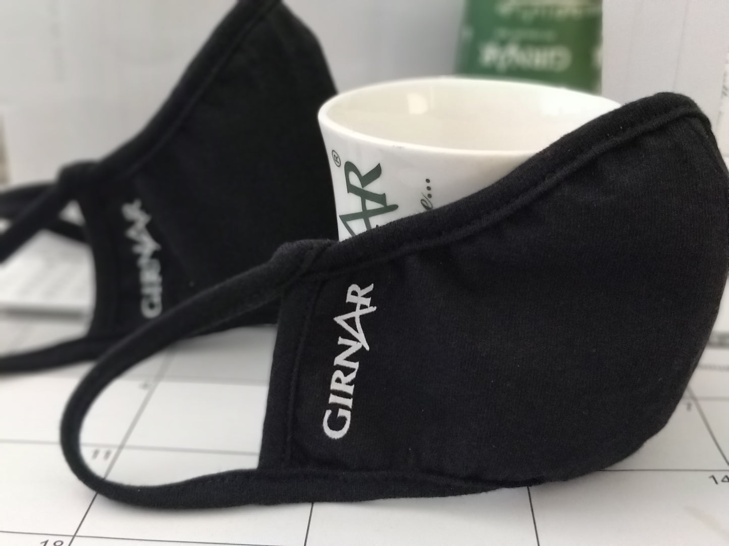 Girnar Washable Face Mask (10Pk) Black